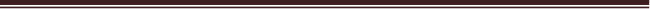 Decorative horizontal straight line