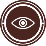 Icon of an eye