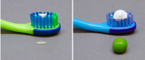 demonstration of proper toothpaste amount